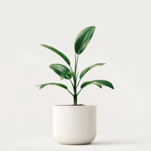 Accueil product 04