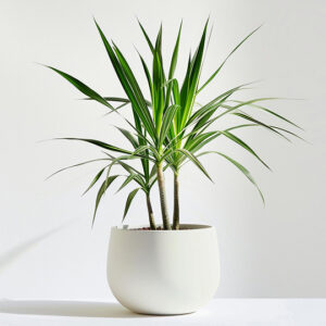 Accueil product 05